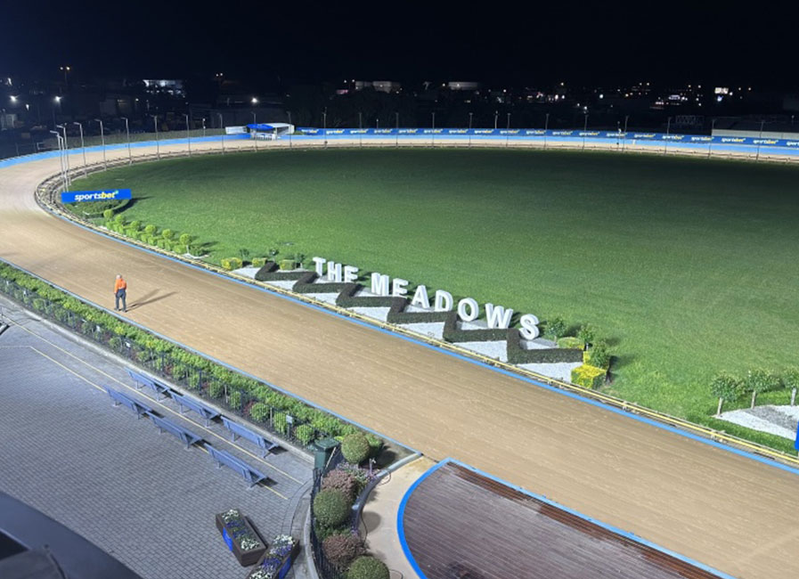 Meadows Meadows